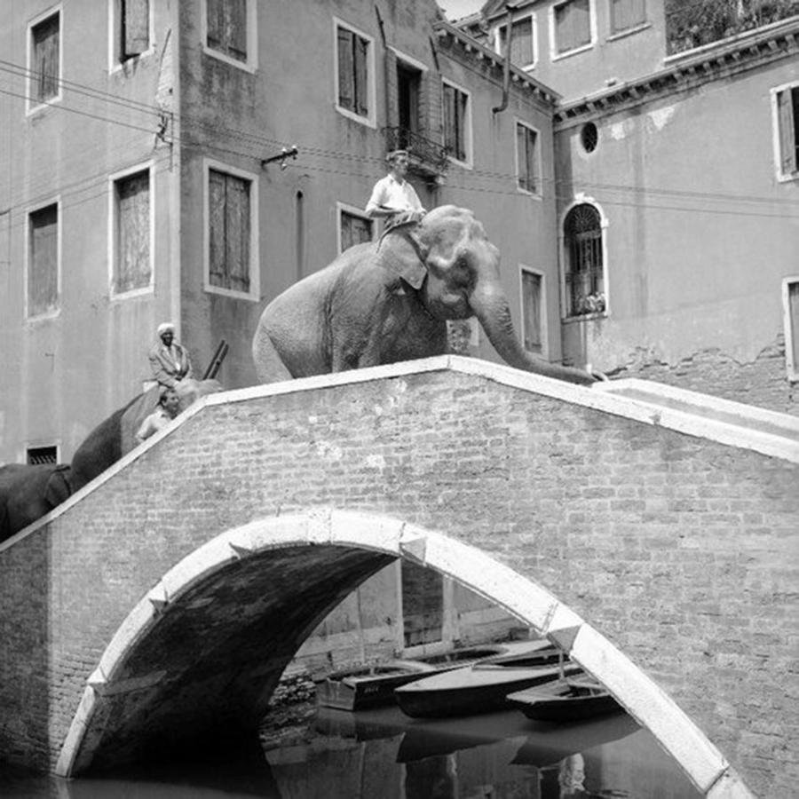 Ca' Circus 4 Rooms Wi-Fi Fibre Venice Exterior photo